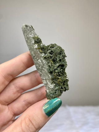 Epidote Cluster on Nirvana Quartz Point | High Altitude Himalayan Crystal from Curious Muse Crystals Tagged with chlorite, clear, epidote, green, hide-notify-btn, high altitude quartz, Himalayan quartz, nirvana quartz, quartz