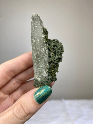Epidote Cluster on Nirvana Quartz Point | High Altitude Himalayan Crystal from Curious Muse Crystals Tagged with chlorite, clear, epidote, green, hide-notify-btn, high altitude quartz, Himalayan quartz, nirvana quartz, quartz