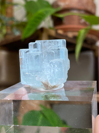 Aquamarine Multi Termination High-Grade Crystal with Mica Blade from Curious Muse Crystals Tagged with aquamarine, Aquamarine crystal, blue, complete termination, etched aquamarine, full term aquamarine, gem grade, rare crystal, sky blue crystal, terminated aqua