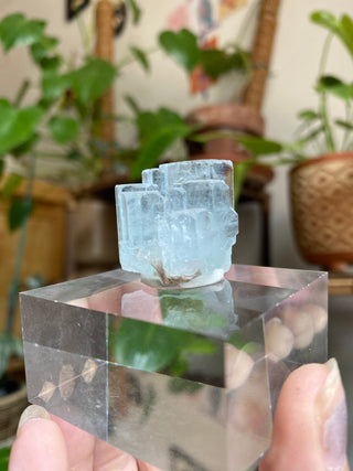 Aquamarine Multi Termination High-Grade Crystal with Mica Blade from Curious Muse Crystals Tagged with aquamarine, Aquamarine crystal, blue, complete termination, etched aquamarine, full term aquamarine, gem grade, rare crystal, sky blue crystal, terminated aqua