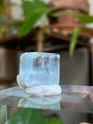 Aquamarine Full Termination High-Grade Crystal with Mica Blade from Curious Muse Crystals Tagged with aquamarine, Aquamarine crystal, blue, complete termination, etched aquamarine, full term aquamarine, gem grade, rare crystal, sky blue crystal, terminated aqua