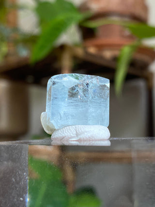 Aquamarine Full Termination High-Grade Crystal with Mica Blade from Curious Muse Crystals Tagged with aquamarine, Aquamarine crystal, blue, complete termination, etched aquamarine, full term aquamarine, gem grade, rare crystal, sky blue crystal, terminated aqua