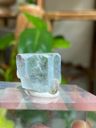 Aquamarine Full Termination High-Grade Crystal with Mica Blade from Curious Muse Crystals Tagged with aquamarine, Aquamarine crystal, blue, complete termination, etched aquamarine, full term aquamarine, gem grade, rare crystal, sky blue crystal, terminated aqua