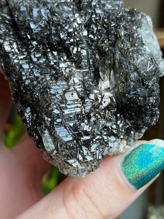 Black Tourmaline in Elestial Quartz | Brazil from Curious Muse Crystals Tagged with black, Black tourmaline, Brazilian Quartz, clear, elestial, Elestial Quartz, hide-notify-btn, self healed, tourmaline