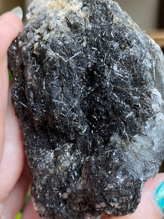 Black Tourmaline in Elestial Quartz | Brazil from Curious Muse Crystals Tagged with black, Black tourmaline, Brazilian Quartz, clear, elestial, Elestial Quartz, hide-notify-btn, self healed, tourmaline