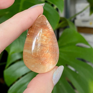 Lemurian Inclusion Quartz | Semi-polished Lens from Curious Muse Crystals Tagged with clear, clear quartz, Crown crystal, hide-notify-btn, Lemurian Quartz, meditation stone, quartz, shaman stone, silica inclusion, yellow