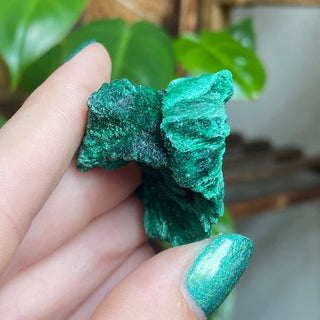 Velvet Malachite Cluster | Fibrous Green Copper Based Crystal from Curious Muse Crystals Tagged with Copper Stone, Crystal Healing, Dark Green Stone, Genuine Crystal, green, Hearth Chakra, hide-notify-btn, Malachite, Manifestation, Mineral Collection, Natural Mineral, Prosperity Wealth, Raw Mineral, Reiki Healing