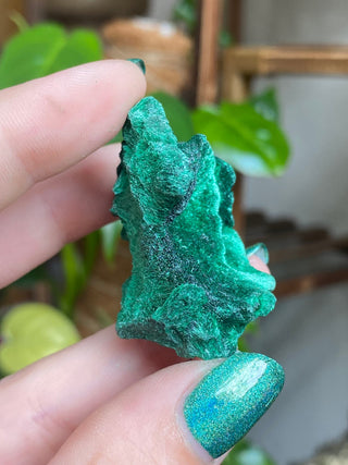 Velvet Malachite Cluster | Fibrous Green Copper Based Crystal from Curious Muse Crystals Tagged with Copper Stone, Crystal Healing, Dark Green Stone, Genuine Crystal, green, Hearth Chakra, hide-notify-btn, Malachite, Manifestation, Mineral Collection, Natural Mineral, Prosperity Wealth, Raw Mineral, Reiki Healing