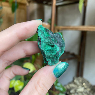 Velvet Malachite Cluster | Fibrous Green Copper Based Crystal from Curious Muse Crystals Tagged with Copper Stone, Crystal Healing, Dark Green Stone, Genuine Crystal, green, Hearth Chakra, hide-notify-btn, Malachite, Manifestation, Mineral Collection, Natural Mineral, Prosperity Wealth, Raw Mineral, Reiki Healing