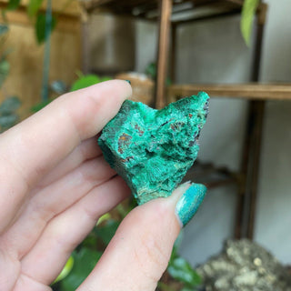 Velvet Malachite Cluster | Fibrous Green Copper Based Crystal from Curious Muse Crystals Tagged with Copper Stone, Crystal Healing, Dark Green Stone, Genuine Crystal, green, Hearth Chakra, hide-notify-btn, Malachite, Manifestation, Mineral Collection, Natural Mineral, Prosperity Wealth, Raw Mineral, Reiki Healing