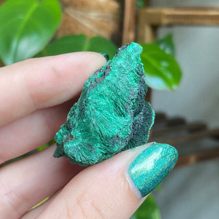 Velvet Malachite Cluster | Fibrous Green Copper Based Crystal from Curious Muse Crystals Tagged with Copper Stone, Crystal Healing, Dark Green Stone, Genuine Crystal, green, Hearth Chakra, hide-notify-btn, Malachite, Manifestation, Mineral Collection, Natural Mineral, Prosperity Wealth, Raw Mineral, Reiki Healing
