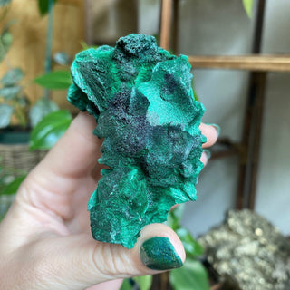 Velvet Malachite Cluster | Fibrous Green Copper Based Crystal from Curious Muse Crystals Tagged with Copper Stone, Crystal Healing, Dark Green Stone, Genuine Crystal, green, Hearth Chakra, hide-notify-btn, Malachite, Manifestation, Mineral Collection, Natural Mineral, Prosperity Wealth, Raw Mineral, Reiki Healing