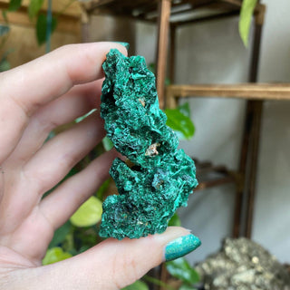 Velvet Malachite Cluster | Fibrous Green Copper Based Crystal from Curious Muse Crystals Tagged with Copper Stone, Crystal Healing, Dark Green Stone, Genuine Crystal, green, Hearth Chakra, hide-notify-btn, Malachite, Manifestation, Mineral Collection, Natural Mineral, Prosperity Wealth, Raw Mineral, Reiki Healing