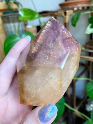 Dreamcoat Lemurian Generator - Polished Brazilian Tower Crystal from Curious Muse Crystals Tagged with clear, clear brazil quartz, dreamcoat lemurian, goethite rutile, hematite amethyst, hide-notify-btn, lemurian, lemurian generator, lemurian seed, purple, red, secondary growth, super seven, synergy seven, yellow