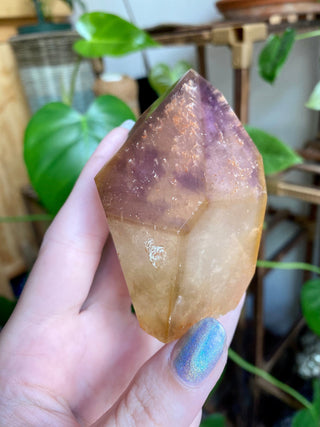 Dreamcoat Lemurian Generator - Polished Brazilian Tower Crystal from Curious Muse Crystals Tagged with clear, clear brazil quartz, dreamcoat lemurian, goethite rutile, hematite amethyst, hide-notify-btn, lemurian, lemurian generator, lemurian seed, purple, red, secondary growth, super seven, synergy seven, yellow