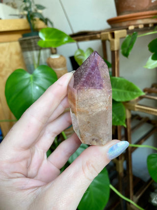 Dreamcoat Lemurian Generator - Polished Brazilian Tower Crystal from Curious Muse Crystals Tagged with clear, clear brazil quartz, dreamcoat lemurian, goethite rutile, hematite amethyst, hide-notify-btn, lemurian, lemurian generator, lemurian seed, purple, red, secondary growth, super seven, synergy seven, yellow