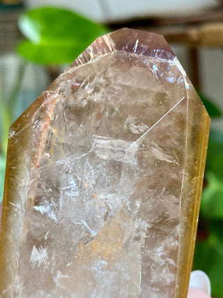Dreamcoat Lemurian Generator - Polished Brazilian Tower Crystal from Curious Muse Crystals Tagged with clear, clear brazil quartz, dreamcoat lemurian, goethite rutile, hematite amethyst, hide-notify-btn, lemurian, lemurian generator, lemurian seed, purple, red, secondary growth, super seven, synergy seven, yellow