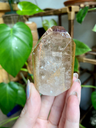 Dreamcoat Lemurian Generator - Polished Brazilian Tower Crystal from Curious Muse Crystals Tagged with clear, clear brazil quartz, dreamcoat lemurian, goethite rutile, hematite amethyst, hide-notify-btn, lemurian, lemurian generator, lemurian seed, purple, red, secondary growth, super seven, synergy seven, yellow