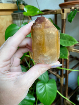 Dreamcoat Lemurian Generator - Polished Brazilian Tower Crystal from Curious Muse Crystals Tagged with clear, clear brazil quartz, dreamcoat lemurian, goethite rutile, hematite amethyst, hide-notify-btn, lemurian, lemurian generator, lemurian seed, purple, red, secondary growth, super seven, synergy seven, yellow