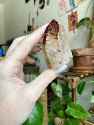 Dreamcoat Lemurian Generator - Polished Brazilian Tower Crystal from Curious Muse Crystals Tagged with clear, clear brazil quartz, dreamcoat lemurian, goethite rutile, hematite amethyst, hide-notify-btn, lemurian, lemurian generator, lemurian seed, purple, red, secondary growth, super seven, synergy seven, yellow