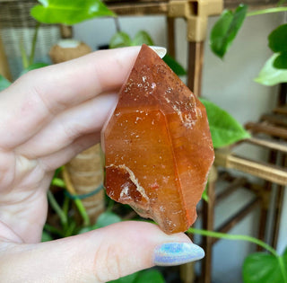 Dreamcoat Lemurian Generator - Polished Brazilian Tower Crystal from Curious Muse Crystals Tagged with clear, clear brazil quartz, dreamcoat lemurian, goethite rutile, hematite amethyst, hide-notify-btn, lemurian, lemurian generator, lemurian seed, purple, red, secondary growth, super seven, synergy seven, yellow