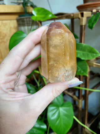 Dreamcoat Lemurian Generator - Polished Brazilian Tower Crystal from Curious Muse Crystals Tagged with clear, clear brazil quartz, dreamcoat lemurian, goethite rutile, hematite amethyst, hide-notify-btn, lemurian, lemurian generator, lemurian seed, purple, red, secondary growth, super seven, synergy seven, yellow