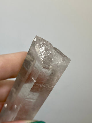 Nirvana Clear Quartz Seed Point | High Altitude Himalayan Crystal from Curious Muse Crystals Tagged with clear, hand mined crystal, hide-notify-btn, high altitude quartz, High vibration stone, Himalayan Quartz, manifesting Quartz, Nirvana Quartz, quartz, seed point, self healed crystal