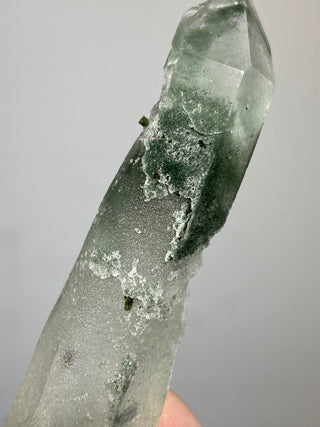 Epidote on Nirvana Quartz Point with Green Chlorite Phantoms - High Altitude Himalayan Crystal from Curious Muse Crystals Tagged with chlorite, clear, epidote, green, hide-notify-btn, high altitude quartz, Himalayan quartz, nirvana quartz, quartz