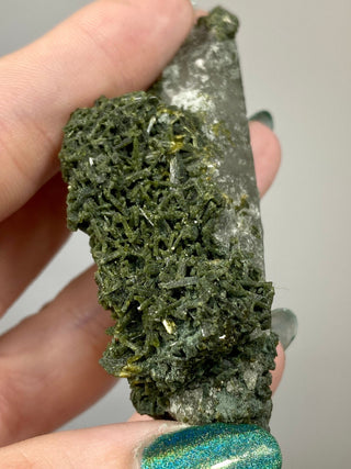 Epidote Cluster on Nirvana Quartz Point | High Altitude Himalayan Crystal from Curious Muse Crystals Tagged with chlorite, clear, epidote, green, hide-notify-btn, high altitude quartz, Himalayan quartz, nirvana quartz, quartz