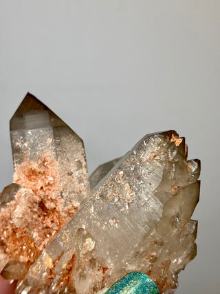 Smoky Pink Samadhi Double Terminated Quartz Cluster | High Altitude Himalayan Crystal from Curious Muse Crystals Tagged with clear, hide-notify-btn, high altitude quartz, High vibration stone, Himalayan Quartz, pink, Pink Himalayan, pink quartz cluster, Samadhi Quartz, Smoky Samadhi Quartz