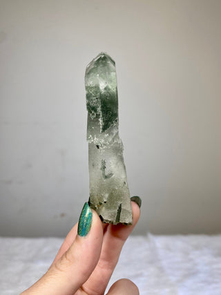 Epidote on Nirvana Quartz Point with Green Chlorite Phantoms - High Altitude Himalayan Crystal from Curious Muse Crystals Tagged with chlorite, clear, epidote, green, hide-notify-btn, high altitude quartz, Himalayan quartz, nirvana quartz, quartz