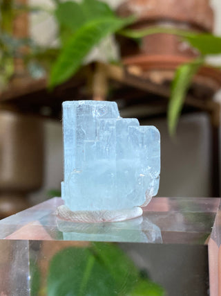 Aquamarine Multi Termination High-Grade Crystal with Mica Blade from Curious Muse Crystals Tagged with aquamarine, Aquamarine crystal, blue, complete termination, etched aquamarine, full term aquamarine, gem grade, rare crystal, sky blue crystal, terminated aqua