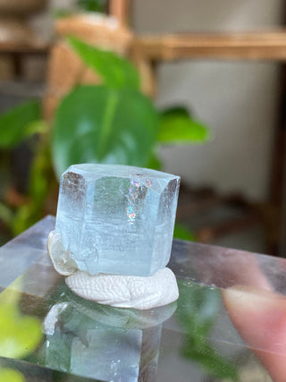 Aquamarine Full Termination High-Grade Crystal with Mica Blade from Curious Muse Crystals Tagged with aquamarine, Aquamarine crystal, blue, complete termination, etched aquamarine, full term aquamarine, gem grade, rare crystal, sky blue crystal, terminated aqua