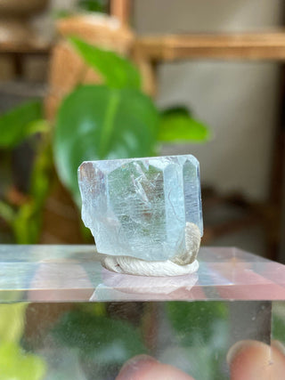 Aquamarine Full Termination High-Grade Crystal with Mica Blade from Curious Muse Crystals Tagged with aquamarine, Aquamarine crystal, blue, complete termination, etched aquamarine, full term aquamarine, gem grade, rare crystal, sky blue crystal, terminated aqua