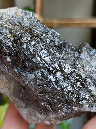 Black Tourmaline in Elestial Quartz | Brazil from Curious Muse Crystals Tagged with black, Black tourmaline, Brazilian Quartz, clear, elestial, Elestial Quartz, hide-notify-btn, self healed, tourmaline