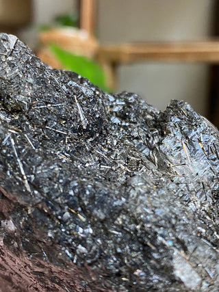 Black Tourmaline in Elestial Quartz | Brazil from Curious Muse Crystals Tagged with black, Black tourmaline, Brazilian Quartz, clear, elestial, Elestial Quartz, hide-notify-btn, self healed, tourmaline