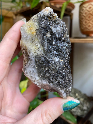 Black Tourmaline in Elestial Quartz | Brazil from Curious Muse Crystals Tagged with black, Black tourmaline, Brazilian Quartz, clear, elestial, Elestial Quartz, hide-notify-btn, self healed, tourmaline