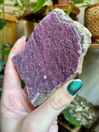 Cobaltoan Calcite - Pink Cobalt Calcite - High Grade Collector Mineral from Curious Muse Crystals Tagged with cobaltoan calcite, crystal energy, hide-notify-btn, high end mineral, pink