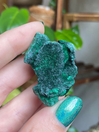 Velvet Malachite Cluster | Fibrous Green Copper Based Crystal from Curious Muse Crystals Tagged with Copper Stone, Crystal Healing, Dark Green Stone, Genuine Crystal, green, Hearth Chakra, hide-notify-btn, Malachite, Manifestation, Mineral Collection, Natural Mineral, Prosperity Wealth, Raw Mineral, Reiki Healing