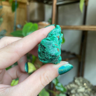 Velvet Malachite Cluster | Fibrous Green Copper Based Crystal from Curious Muse Crystals Tagged with Copper Stone, Crystal Healing, Dark Green Stone, Genuine Crystal, green, Hearth Chakra, hide-notify-btn, Malachite, Manifestation, Mineral Collection, Natural Mineral, Prosperity Wealth, Raw Mineral, Reiki Healing