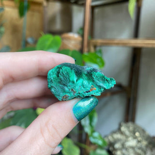 Velvet Malachite Cluster | Fibrous Green Copper Based Crystal from Curious Muse Crystals Tagged with Copper Stone, Crystal Healing, Dark Green Stone, Genuine Crystal, green, Hearth Chakra, hide-notify-btn, Malachite, Manifestation, Mineral Collection, Natural Mineral, Prosperity Wealth, Raw Mineral, Reiki Healing