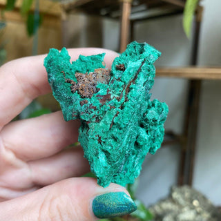 Velvet Malachite Cluster | Fibrous Green Copper Based Crystal from Curious Muse Crystals Tagged with Copper Stone, Crystal Healing, Dark Green Stone, Genuine Crystal, green, Hearth Chakra, hide-notify-btn, Malachite, Manifestation, Mineral Collection, Natural Mineral, Prosperity Wealth, Raw Mineral, Reiki Healing