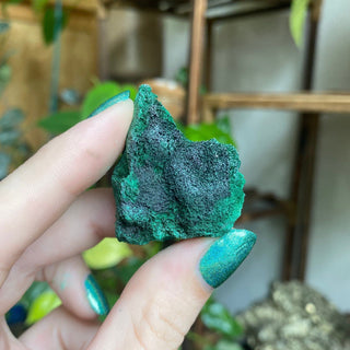 Velvet Malachite Cluster | Fibrous Green Copper Based Crystal from Curious Muse Crystals Tagged with Copper Stone, Crystal Healing, Dark Green Stone, Genuine Crystal, green, Hearth Chakra, hide-notify-btn, Malachite, Manifestation, Mineral Collection, Natural Mineral, Prosperity Wealth, Raw Mineral, Reiki Healing