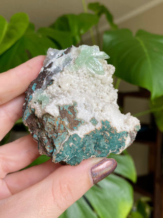 Green Fluorapophyllite Glassy Sharp Terminations | Old Stock 1980’s from Curious Muse Crystals Tagged with clear, Crystal healing, genuine crystal, green, hide-notify-btn, natural mineral, raw mineral, reiki crystal