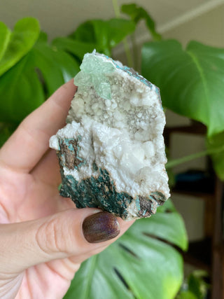 Green Fluorapophyllite Glassy Sharp Terminations | Old Stock 1980’s from Curious Muse Crystals Tagged with clear, Crystal healing, genuine crystal, green, hide-notify-btn, natural mineral, raw mineral, reiki crystal