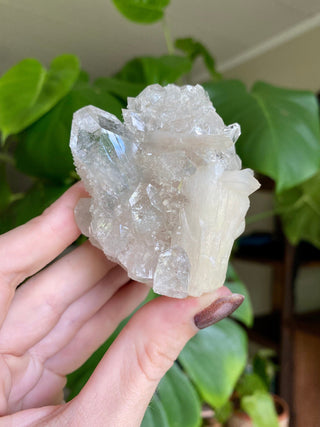 Glassy Clear Fluorapophyllite and Stilbite Cluster | Old Stock 1980’s from Curious Muse Crystals Tagged with apophyllite, clear, Crystal healing, fine mineral, genuine crystal, hide-notify-btn, natural mineral, raw mineral, reiki crystal, stilbite, zeolite