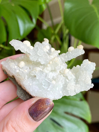 Chalcedony Stalactites with Stilbite Spherical Clusters | Old Stock 1980’s from Curious Muse Crystals Tagged with chalcedony, crystal energy, fine mineral, hide-notify-btn, india, raw, reiki healing, stilbite, zeolite