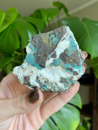 Green Fluorapophyllite Glassy Sharp Terminations | Old Stock 1980’s from Curious Muse Crystals Tagged with clear, Crystal healing, genuine crystal, green, hide-notify-btn, natural mineral, raw mineral, reiki crystal