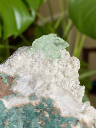 Green Fluorapophyllite Glassy Sharp Terminations | Old Stock 1980’s from Curious Muse Crystals Tagged with clear, Crystal healing, genuine crystal, green, hide-notify-btn, natural mineral, raw mineral, reiki crystal