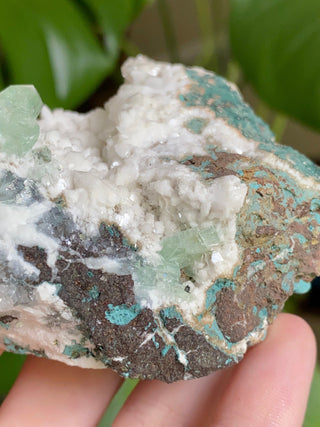 Green Fluorapophyllite Glassy Sharp Terminations | Old Stock 1980’s from Curious Muse Crystals Tagged with clear, Crystal healing, genuine crystal, green, hide-notify-btn, natural mineral, raw mineral, reiki crystal